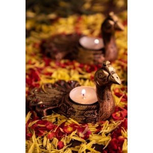 T Light Peacock Set Of 2